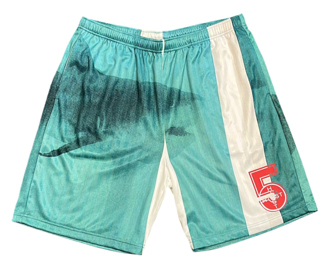 Supreme x Damien Hirst Soccer Shorts