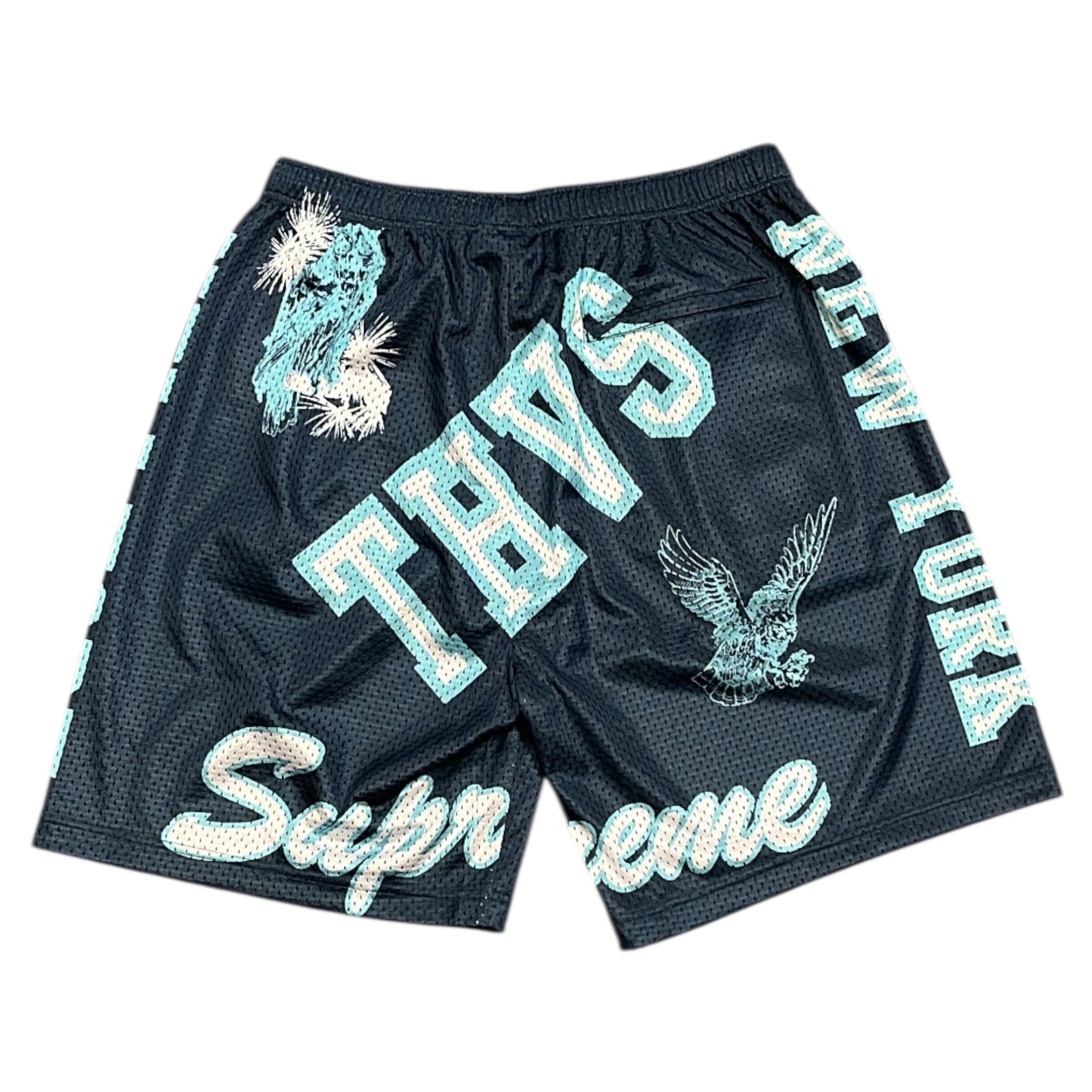 Supreme Varsity Mesh Shorts