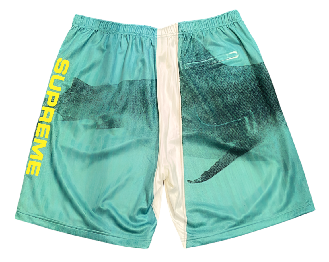 Supreme x Damien Hirst Soccer Shorts